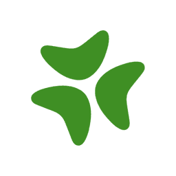Bloomerang